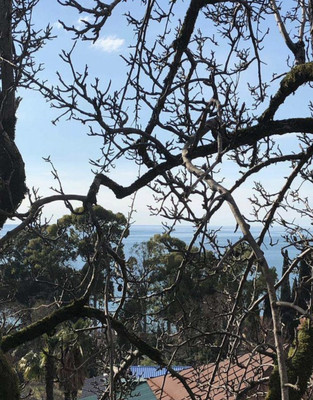 Купить  участок