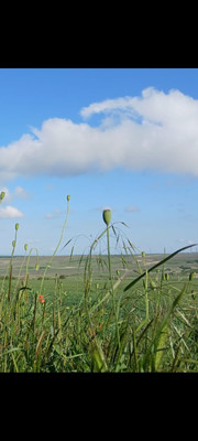 Купить  участок