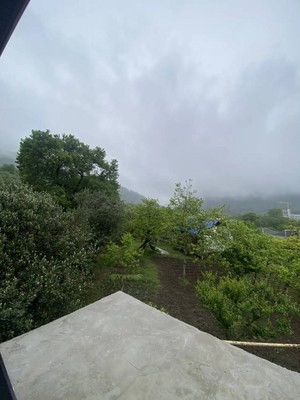 Купить  дом