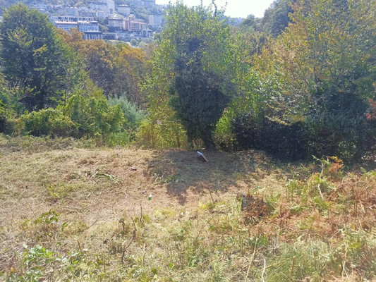Купить  участок